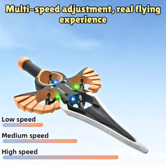 Flying Sword Drone