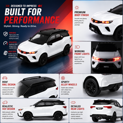 Remote Control VIP Legender 1:18 Scale Car