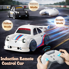 Multifunctional Remote Control Car