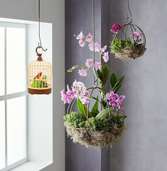 Realistic Singing & Chirping Bird Toy