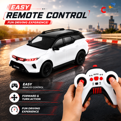 Remote Control VIP Legender 1:18 Scale Car