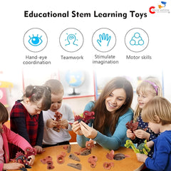 Dinosaur Toys, Pack of 4 Dinosaurs with Screwdriver, Dino Kids Building Learning Toys, STEM Toy for Boys and Girls, 3 4 5 6 7 8 Year Old Boys and Girls