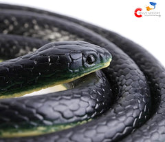 Realistic Rubber Snakes Prank Toys & Gifts, Magic Shows Toy Snake for Kids, Fake Snake Toys for kids