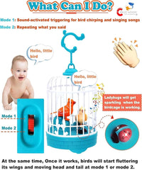Talking Bird Toy