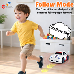 Multifunctional Remote Control Car