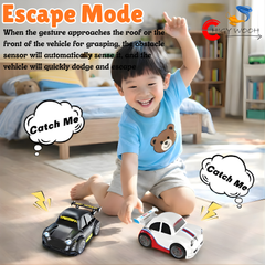 Multifunctional Remote Control Car